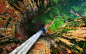 The view down Dragon Falls, Venezuela