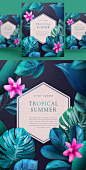 夏季热带植物海报PSD模板Summer tropical poster PSD template#ti289a7603 :  