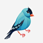 蓝色写真创意鸟儿免抠素材_新图网 https://ixintu.com 蓝色 鸟儿 鸟 动物 卡通 扁平化 简约 装饰 小清新 图案