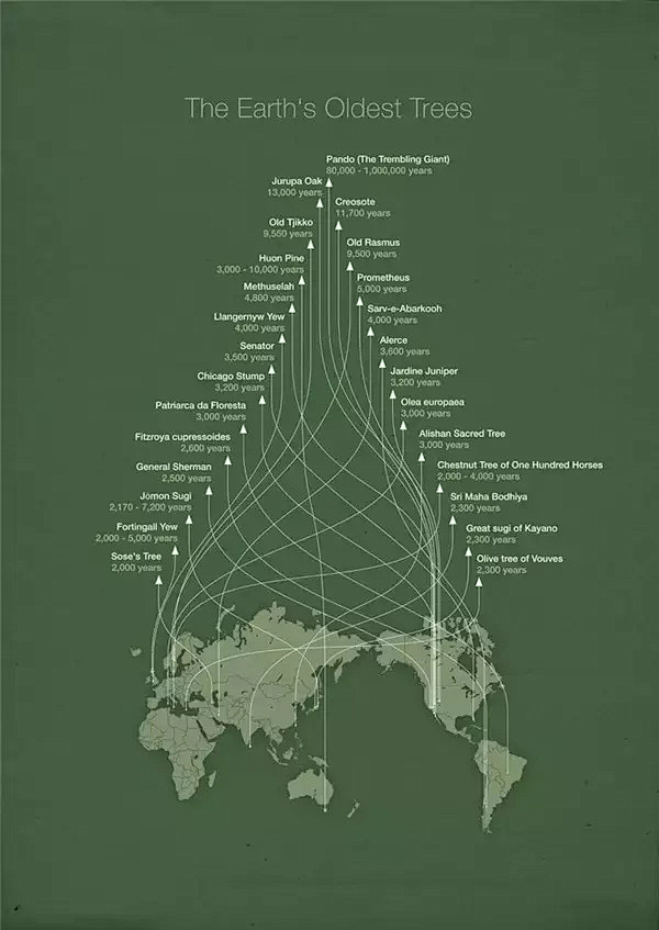 别人把信息图做成了海报，你却还在用饼状图