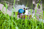 明湖湿地公园/ 广州土人景观顾问有限公司第15张图片