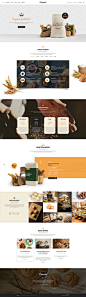 Organici - Organic Store WordPress Theme on Behance: