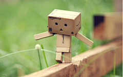 Lynn采集到Danbo 亚马逊小盒