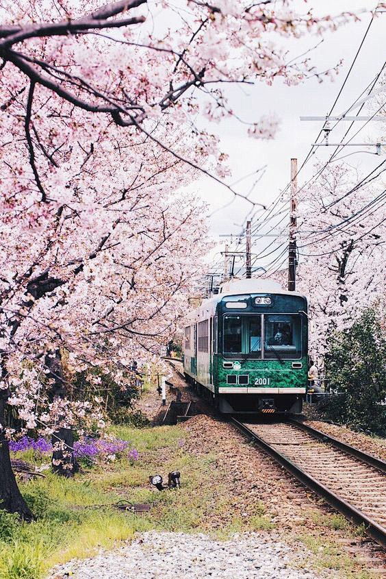 Kyoto, Japan