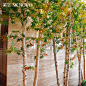 美空白桦木枫叶造型树落地假树餐厅室内地中海风情装饰仿真树摆件