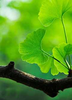 ꧁༺芒果君༻꧂采集到景色诱人