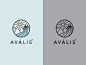 Avális : Further exploration for an Icelandic water company 