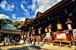 二条城又名二条御所，位于日本京都，是幕府将军在京都的行辕。二条城是江户幕府的权力象征。城内名为“鹂鸣地板”的走廊，人行走其上便会发出黄莺鸣叫般的响声，是幕府统治者为保全自身安全而设的报警机关。本丸御殿和二之丸御殿为二条城的主要建筑。“二之丸”的建筑很有特色，殿内墙壁和隔门上画有狩野派画家的名画，精美绝伦。