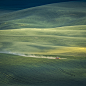 Landscape Nature Washington wheat field palouse