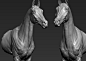 horse, A_ models : wip