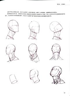 脆皮胡萝卜采集到异次元学识