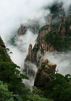 一念为魔一念地狱采集到那些风景