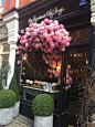 This stunning window By Appointment Only Design is literally 'in bloom' on Chiltern Street, London. The flowers are beautifully crafted in paper and seem to be growing from within the display inside, to the front of the window, demanding attention from po