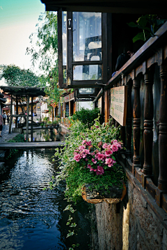 小鱼儿悠然采集到风景