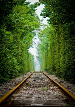 绿茶馨香采集到一路美景