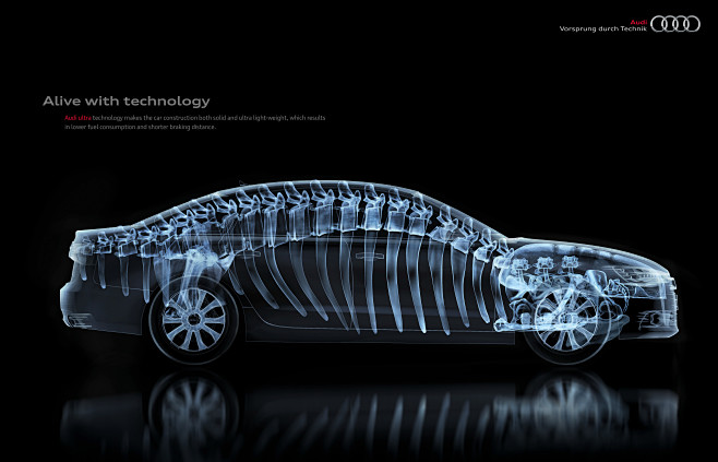 Audi Anatomy: Alive ...