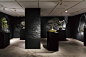 BONSAI Exhibition | WORKS | HARA DESIGN INSTITUTE