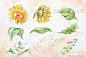 cm261秋季金色向日葵花壶产品包装图案手绘水彩PNG免抠PS设计素材-淘宝网