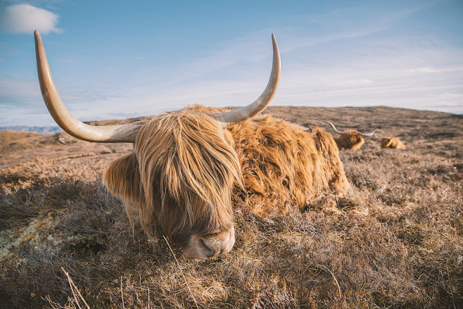 Isle of Skye | Photo...