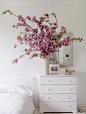 beautiful flowering branches bedside