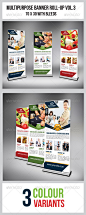  Multipurpose Business Roll-Up - GraphicRiver Item for Sale