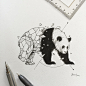 Geometric beasts panda