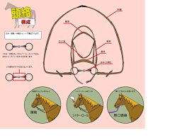 wenyaao采集到马