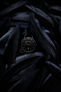 imagine_photography_cheltenham_product_photographer-abbott_lyon-cirencester-stellar_collection-black_feathers-black_watch-timepiece-luxury_brand-minimalist_watch-1.jpg