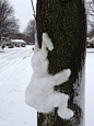 Koalaing Snow Bunny