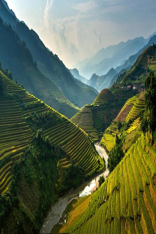 水稻梯田，越南