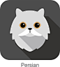 Persian, Cat breed face cartoon flat icon design