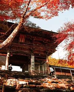 吹梅角远采集到场景 风景