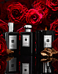 David Prince Photography | Fragrance-&-Beauty | 52 : This is Design X, a website you can build yourself