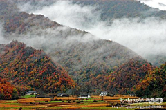 cz56采集到神农架美丽风景　绝对