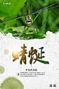 中国风蜻蜓海报设计