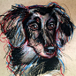 Pittsburgh Artist Julie Pfirsch - Pet Portraits and Oil Paintings : Pittsburgh Pennsylvania based artist - commission pet portraits. Custom sketches in pencils, pen and colored pencil.  Art style both expressive and realistic.