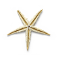 超高清 海星 海螺 贝壳 珊瑚 海马等 航洋生物主题 png元素 starfish-17