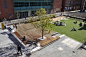 皇家墨尔本理工大学绿地项目（RMIT University Lawn by Peter Elliott Pty Ltd Architecture + Urban_文化教育_景观中国