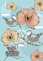 手绘线描花鸟插画矢量素材 - 素材中国16素材网