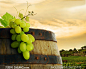 木桶上的新鲜葡萄近景摄影高清图片 - 大图网设计素材下载