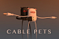 pets_cable_adapter_04.jpg (1050×700)