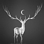 Black and White horror moon dark edited not mine darkness deer witchcraft occultism sumbolic horned: 