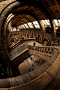 The Natural History Museum, London, England