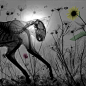 当科学遭遇艺术：X射线下的美丽虫草世界 - 极美炫图 | Picture - TechWeb-极客社区