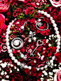 清新花朵玫瑰红色艳丽陪衬背景 精致高贵珠宝排版拍摄 #排版# #经典# #字体# #包装#