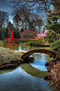 Brooklyn Botanical Gardens, NYC | ~ { Gardens of Beauty } ~