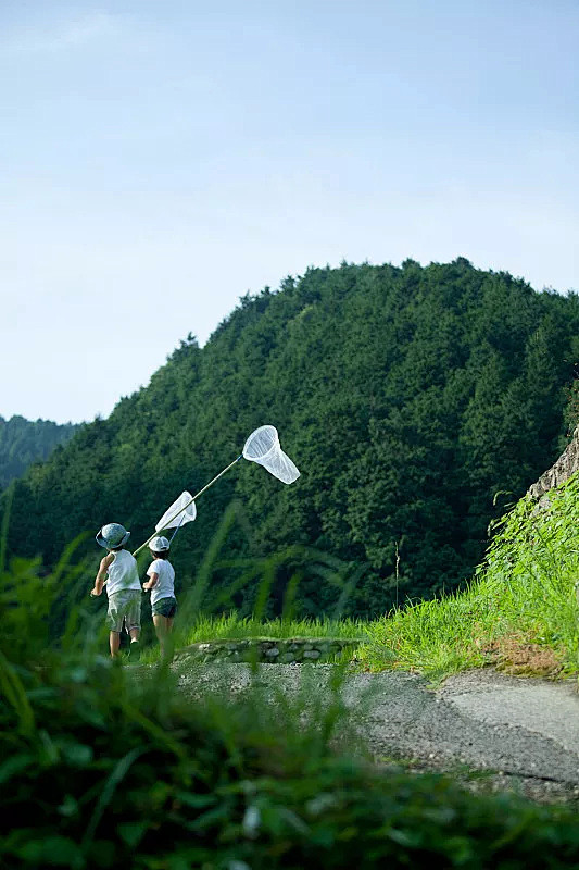 日本,小山羊,夏天,田地,山图片图片素材...