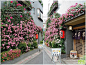 收藏分享，借鉴目标（台湾女孩在日本的房子，叫轩轩的蔷薇花园），【转载】 - s - Life is beautiful