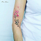 Pis Saro 花朵与纹身