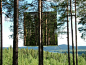 Treehotel Sweden. http://www.lecoresorts.com/st_hotel/sweden-eco-resort-treehotel/: 